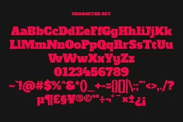 Nashter Slab Serif Font