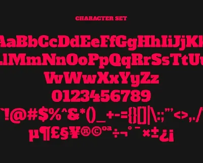 Nashter Slab Serif Font