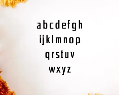 Chrys Sans Serif Font Family Pack