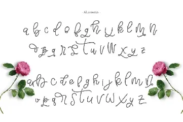 Bellinda Script font