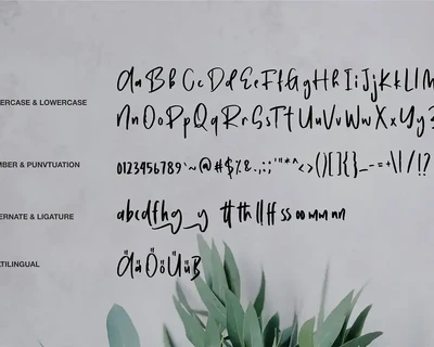 Saragit | A Modern Brush Font