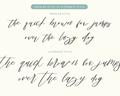 Bisqootte | Modern Calligraphy Font