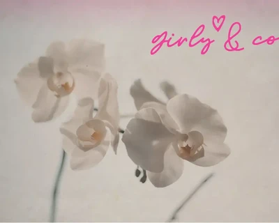 Girly Feminine Script Font