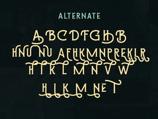 Aberrant - Vintage Dispaly Typeface font