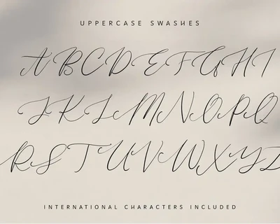 Fernando Willow Heart Script font