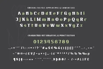 Qekruz | Serif Classic Modernism font