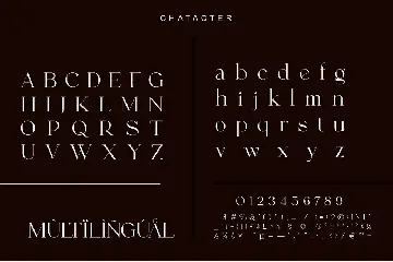 Morgin Astera Elegant Serif Font