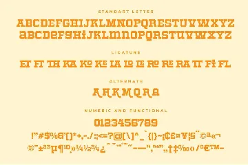 Roger Display Retro  Font