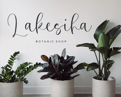 Timeless Diamond Script Font