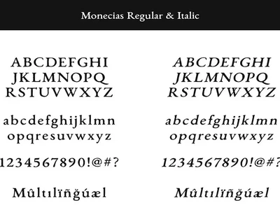 Monecias - Natural Hand Drawn Serif font