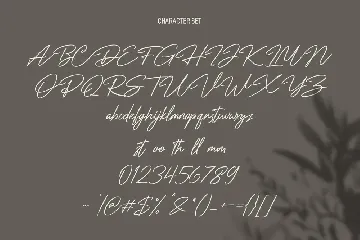 Discreates Script Display Font