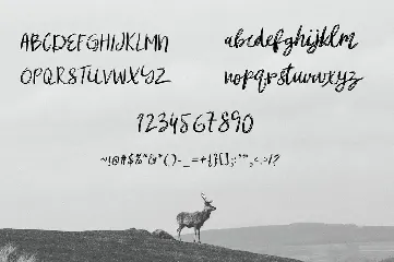 mibrush font