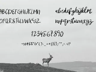 mibrush font