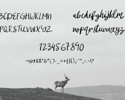 mibrush font