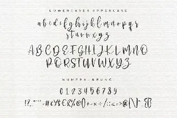 Mackyloo Modern Script font