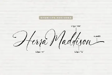 Herra Maddison A Modern Script Font