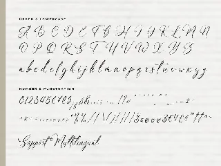 Herra Maddison A Modern Script Font