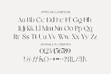 Relight - Chic Display Serif font