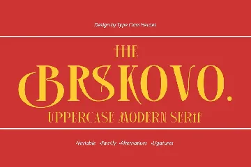 Brskovo - Display Serif font