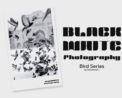 White Block font