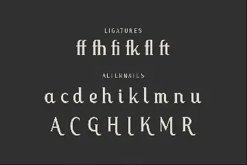 Malffide Modern Serif Font