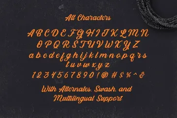 Bandira Script Typeface font