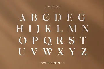 Megista Display font