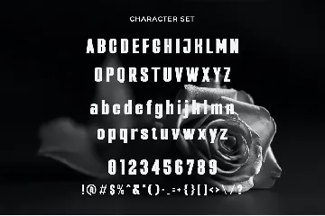 BlackRose - A Bold Condensed Sans font