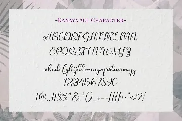 Kanaya - Romantic Font