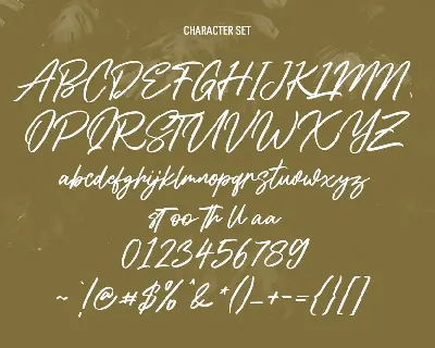 Shadyspeed Script Font