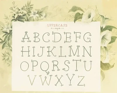 Petit Jardin font