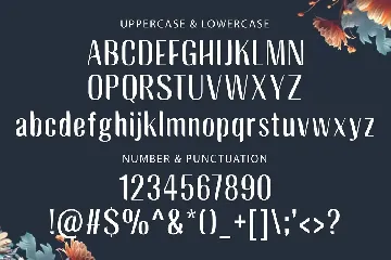 BAGREK DISPLAY - Sans Serif Font