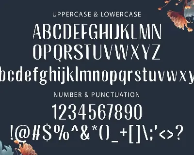 BAGREK DISPLAY - Sans Serif Font