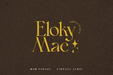 Bon Foyage - Modern Font