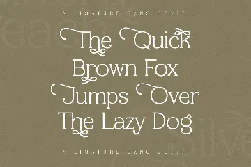 Silvera Peach A Ligature Serif Font