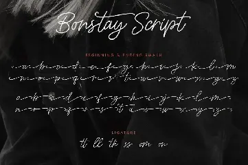 Bonstay - A Monoline Script Font