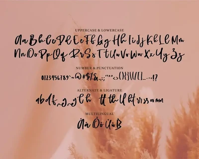 Mulyadi | A Beauty Script Font