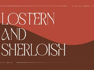 Stylish Modern Display Serif Font