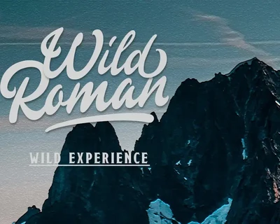 Gingerly - Bold Script Typeface font