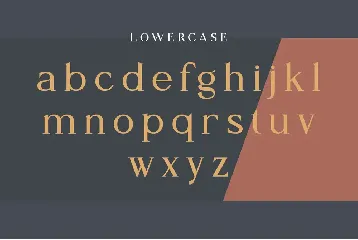 Monica Miller - Serif Typeface font