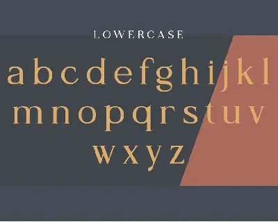 Monica Miller - Serif Typeface font