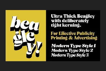 Beagley Display font