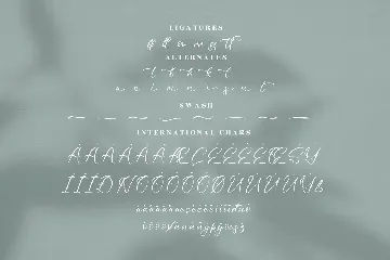 Mettafora Modern Script Font