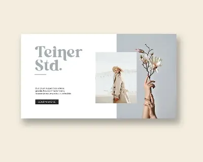 Pollinator Display Serif Font