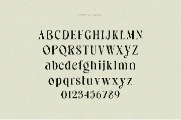 Costa Nova || display Ligature serif font