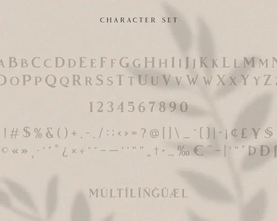 Vendeur - Elegant Serif Font