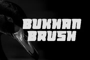 BukhanBrush font