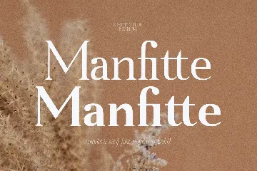 Manfitte Modern Serif Font