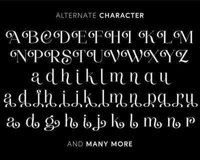 Thenie Dawson - Stylish Serif Font