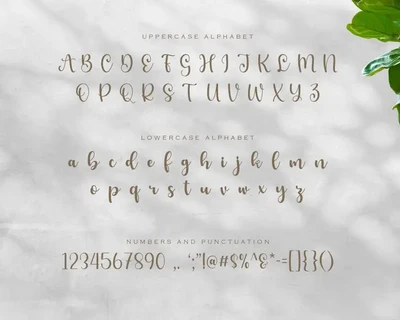 Calligraphy Font